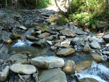 photo 670747