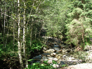 photo 670750