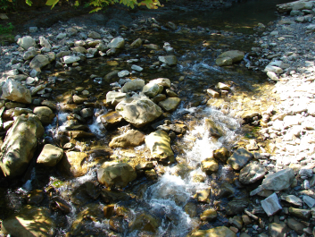 photo 670751