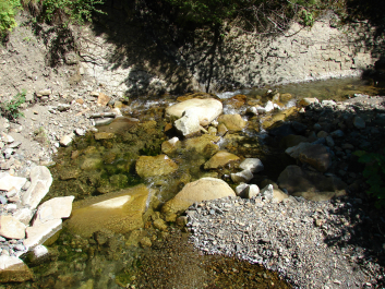 photo 670752