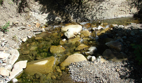 DSC09467