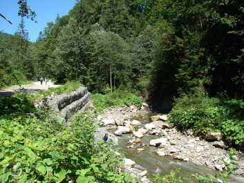 photo 670753