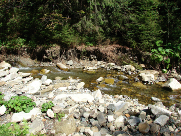 photo 670754