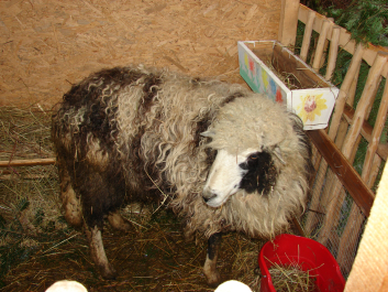 photo 684722