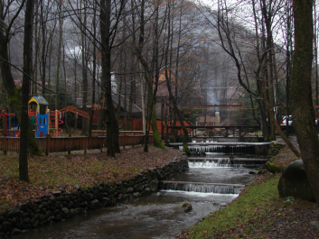 photo 684723