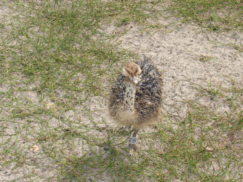photo 687832