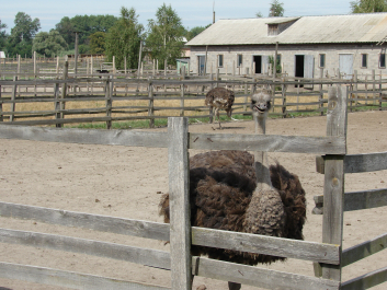 photo 687835