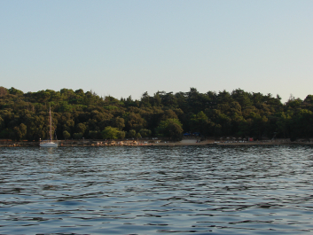 photo 669247