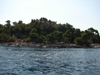 photo 669257