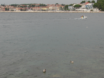 photo 669275