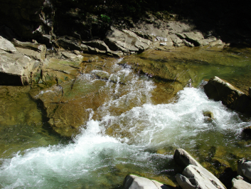 photo 670804