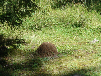 photo 670812