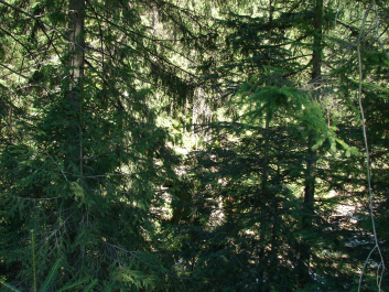 photo 670814