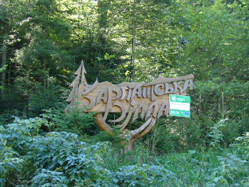 photo 670816