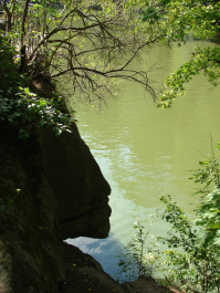 photo 671091