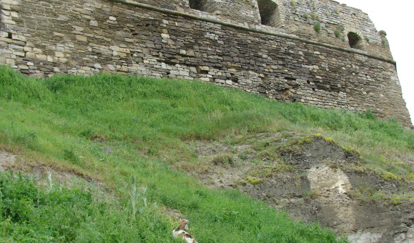 DSC04584