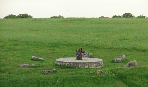 DSC04574