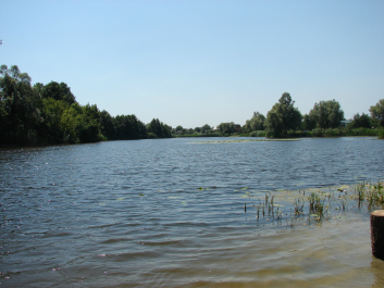 photo 671136