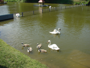 photo 671141