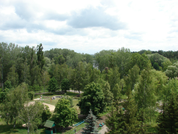 photo 671142