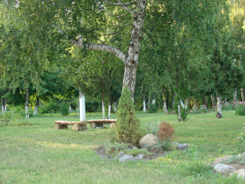 photo 671146