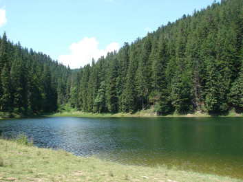 photo 674142