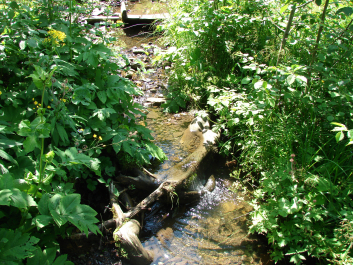 photo 674144
