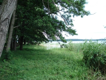 photo 757453