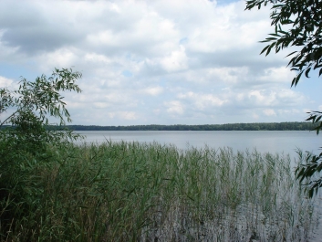 photo 757454