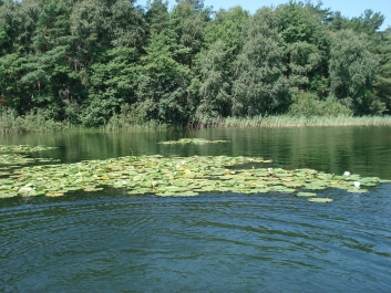 photo 757459