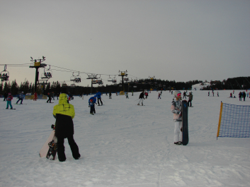 photo 985602