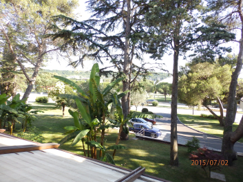 photo 1090660