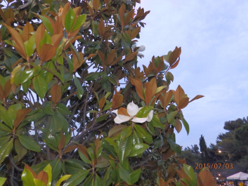 photo 1090723