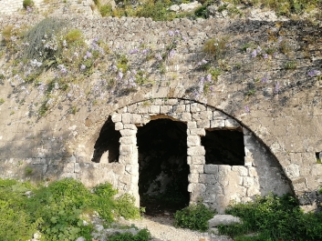 photo 1823752