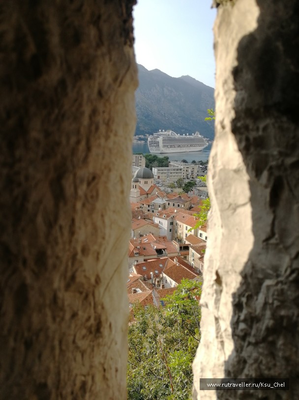 photo 1825126