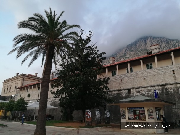 photo 1827856