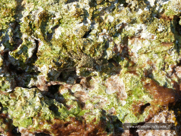 photo 483851