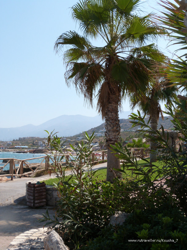 photo 483859