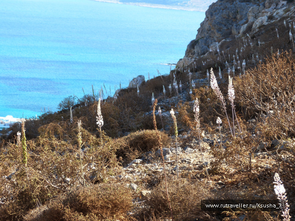 photo 483868