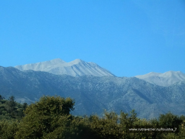 photo 483890