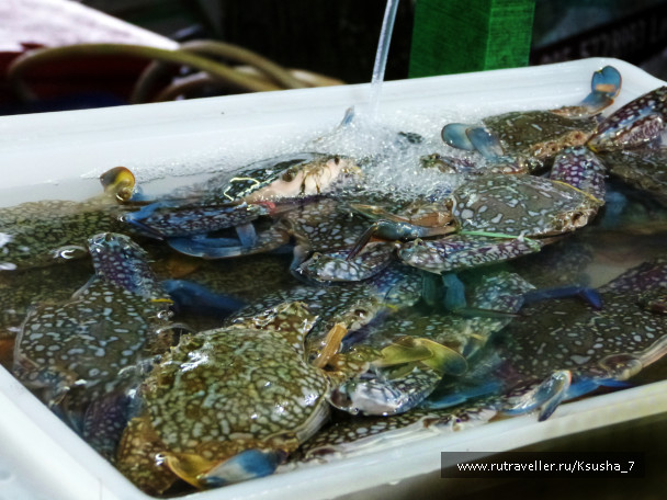 photo 1027304