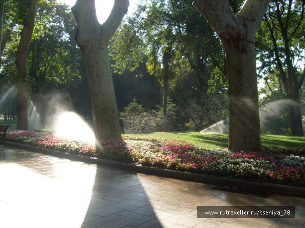 photo 442001