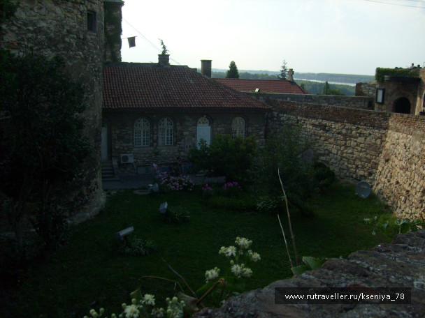 photo 446553