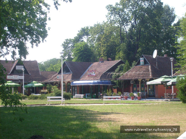 photo 446557