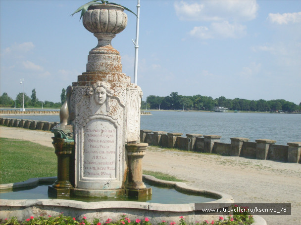 photo 446561