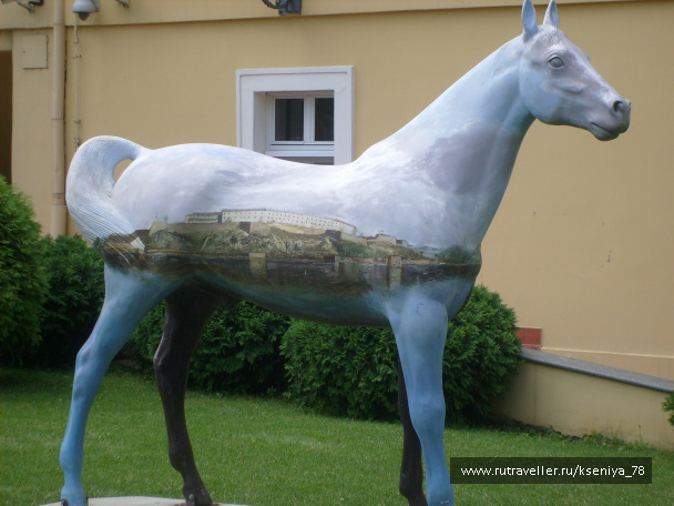 photo 446566