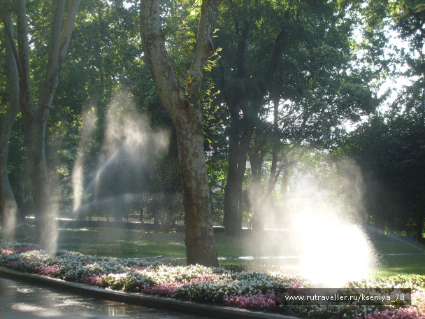 photo 442002