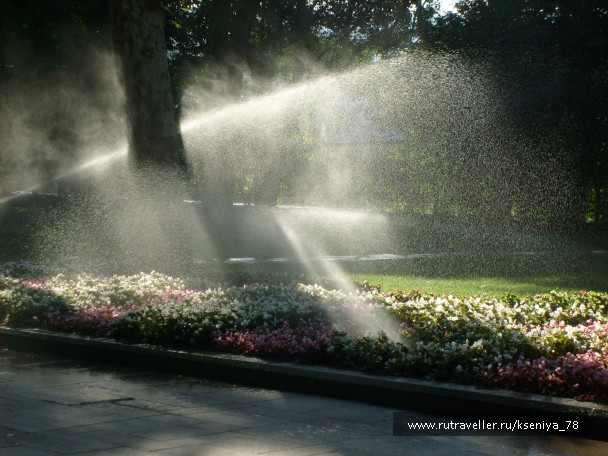 photo 442003