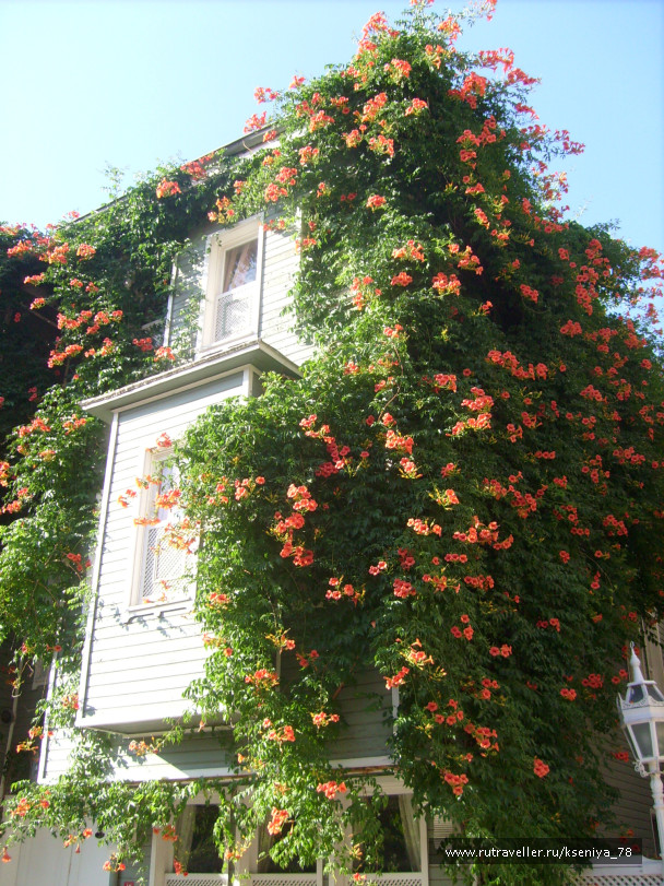 photo 442004