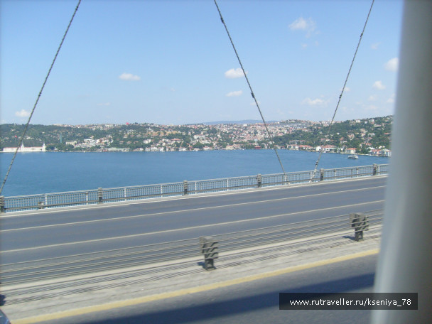 photo 446571